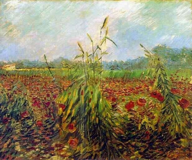 Картина Ван Гога Зеленые колосья пшеницы 1888